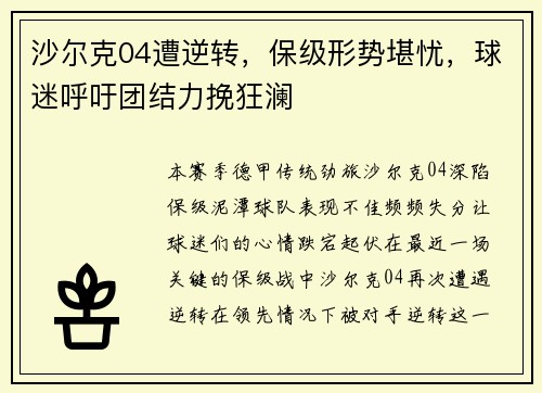 沙尔克04遭逆转，保级形势堪忧，球迷呼吁团结力挽狂澜